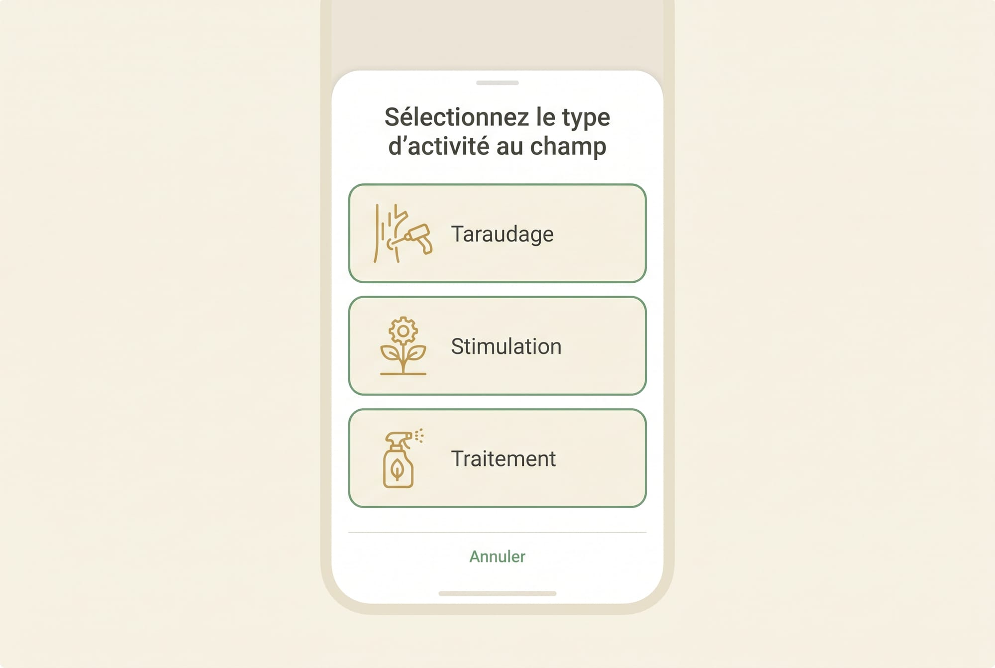 Réplica éditoriale de la feuille de sélection du type d’activité dans Seringueiro