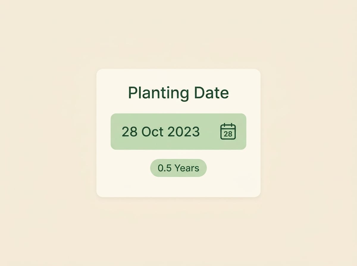 Réplica éditoriale de l’étape date de plantation pour calculer l’âge d’une parcelle dans Seringueiro