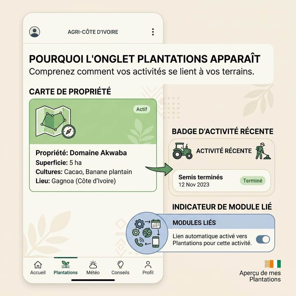 Réplica éditoriale d’un tableau de bord expliquant activité récente, module lié et onglet Plantations dans Seringueiro
