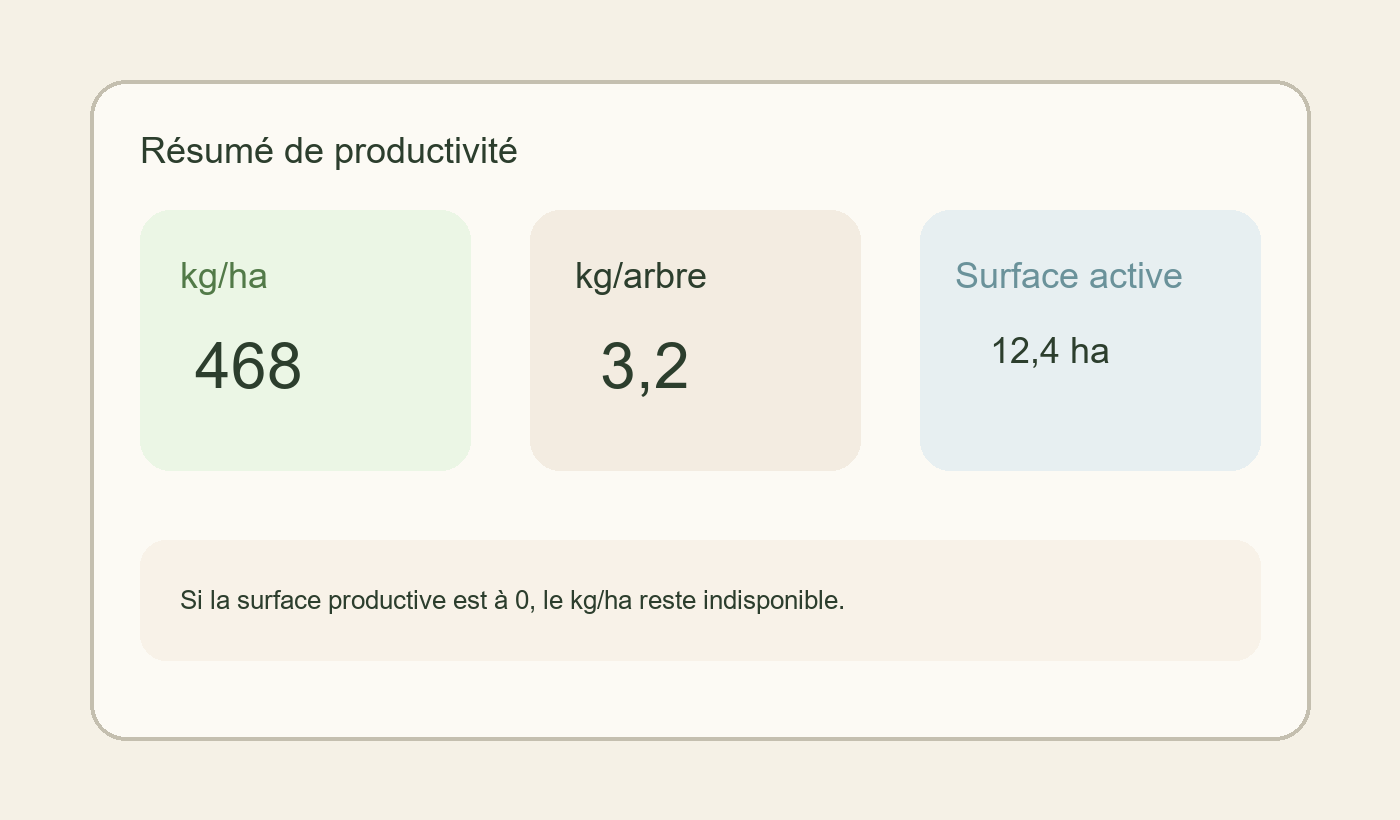Réplica editorial du résumé de productivité d’une propriété dans l’app Seringueiro